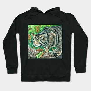 Spirit of Wildcat Hoodie